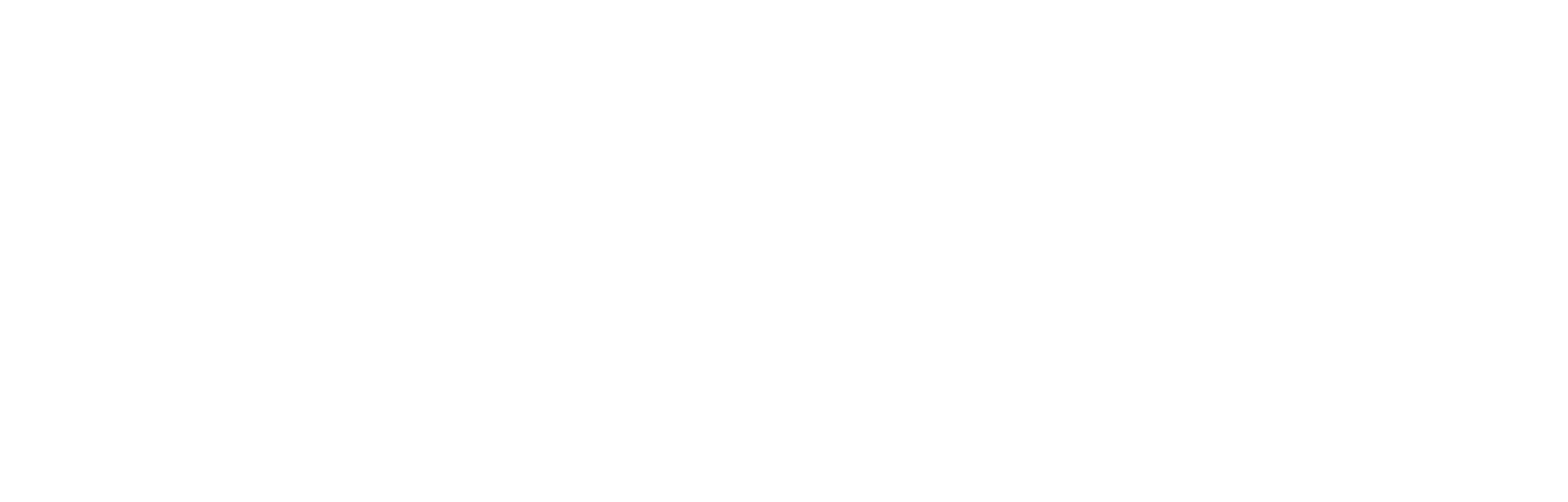 VIVAR Studio